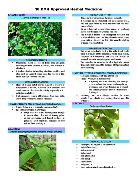 Copy of DOH-Top-10-Herbal-Plants - 10 DOH Approved Herbal Medicine 1. TSAANG GUBAT Ehretia - Studocu
