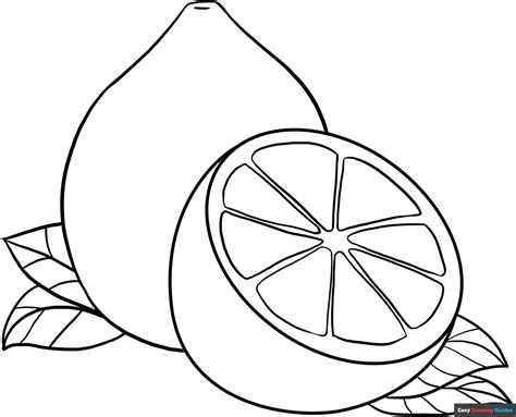 Image result for Lemon Drawing Colored