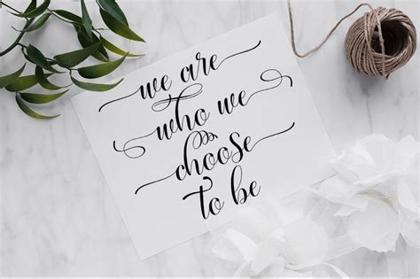 Audacity Python Script Template 的图像结果