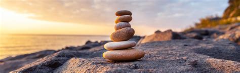 Swim in Sea 的图像结果