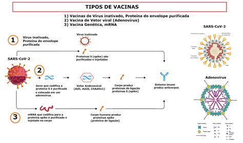 BIOLOGIA PARA A VIDA : VÍRUS E VACINAS