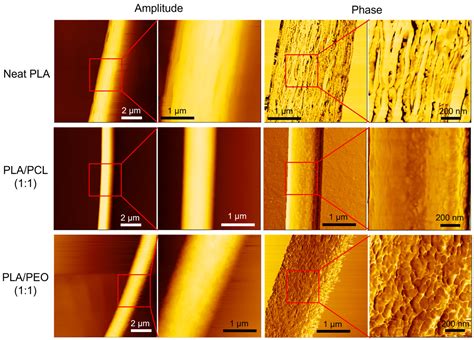 Enhancing the Flexibility and Hydrophilicity of PLA via Polymer Blends ...