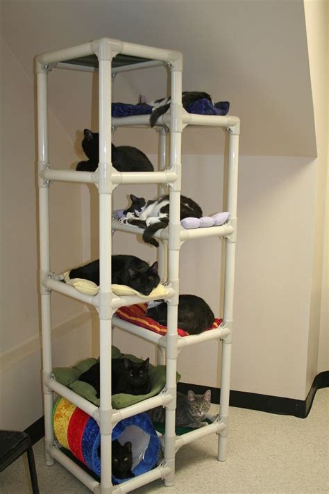 PVC Cat Tree 的图像结果