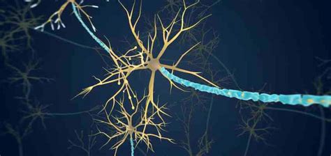 Everything You Need to Know About Motor Neuron Diseases