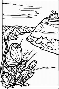 malvorlagen landschaften gratis und original schmetterling auf pflanze ausmalbild malvorlage malvorlagen landschaften gratis und original schmetterling auf pflanze ausmalbild malvorlage