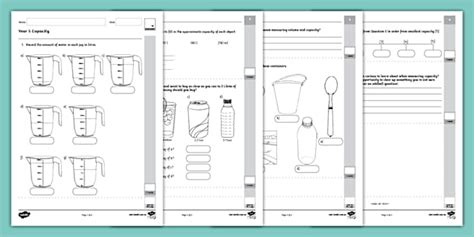 Year 5 Capacity Assessment Sheet