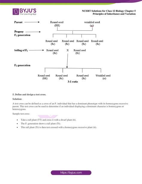Image result for Biology Principles of Inheritance