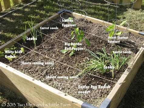 Plans For 4X4 Garden Bed at Anna Quevedo blog