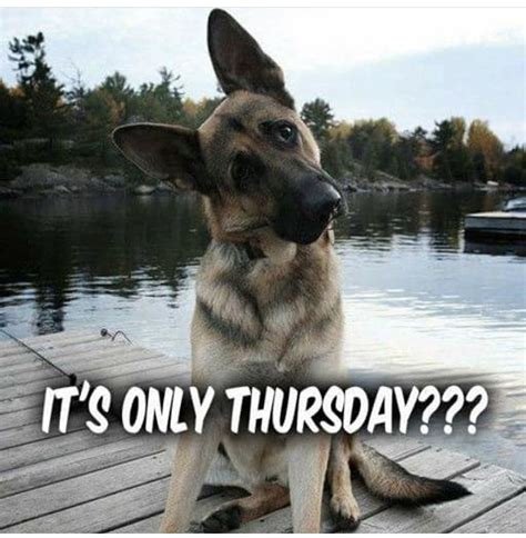 101 funny thursday memes to make you happy all day long - Artofit