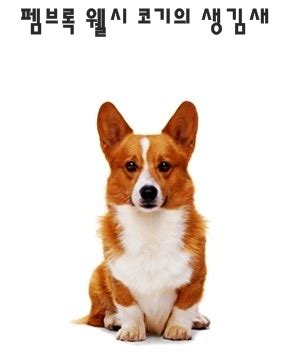 Image result for Spoken Transcript English Language a Level