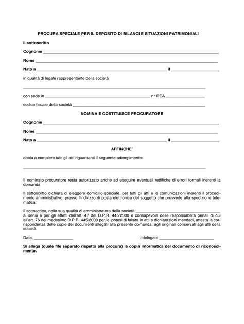 Special Power of Attorney for Deposit of Financial Statements - Modello ...