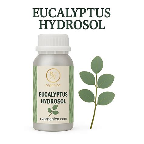 Eucalyptus Floral Water for Face & Hair | RV Organica