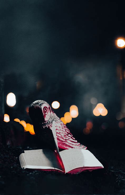 *Special Edition* LIT Poetry Reading w/ Music by Evan Westre, 780 ...