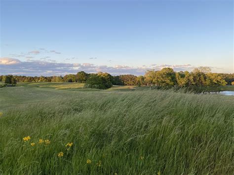 Gallery — The Fields Golf Club