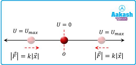 Potential Energy formula in SHM, Practice problems, FAQs in chemistry ...