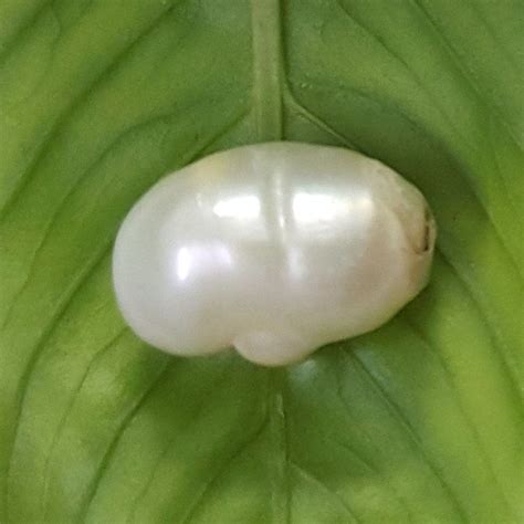 Keshi Pearl – Gem Selections