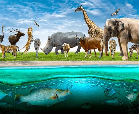 Image result for Climate Change Spring Temperature