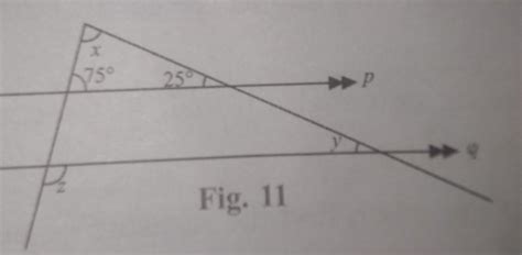find the value of x, y, z - Brainly.in