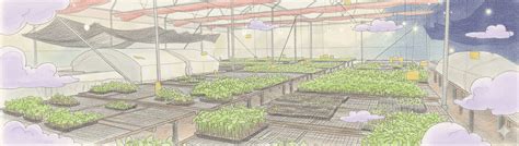 Modern polyhouse with advanced grafting operations