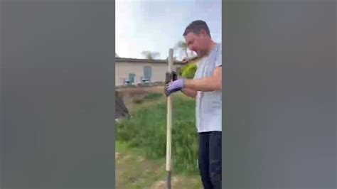 Image result for How to Use Gopherhawk