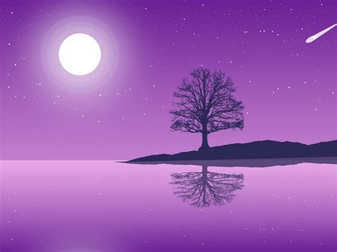 Image result for Night Python Design