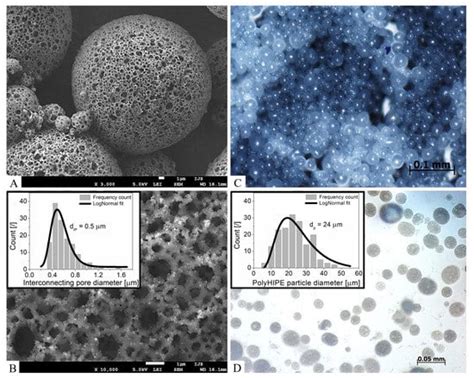 Bacteriophage Delivery Systems Based on Composite PolyHIPE ...