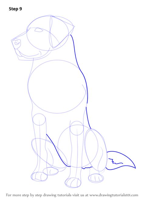 How to Draw a Realistic Labrador 的图像结果