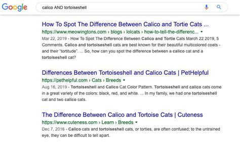 Image result for What Is Google Search Query