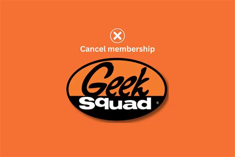 Image result for Geek Squad Remote Help