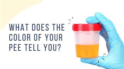 Urine Colour Indication Dog Urine Color Chart Infections - Infoupdate.org