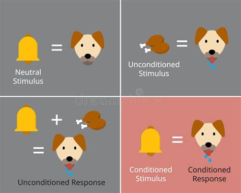 Image result for Classical Condiioning Chart