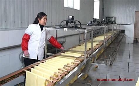 春茶の収穫と加工が最盛期 湖南省長沙市-日语频道-中国青年网