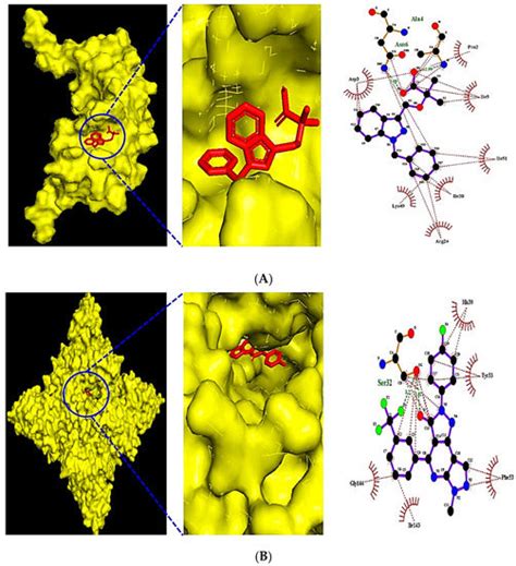 New Insight into Drugs to Alleviate Atopic March via Network ...