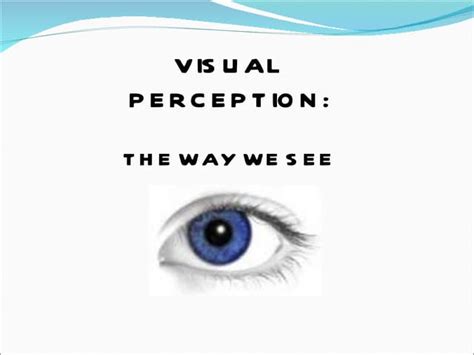 Image result for Visual Perception Definition