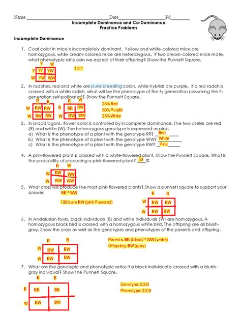 Incomplete Dominance Punnett Square Worksheet