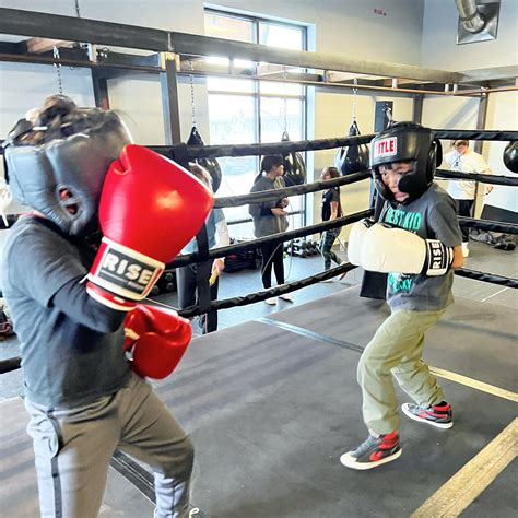 Boxing Kid 的图像结果
