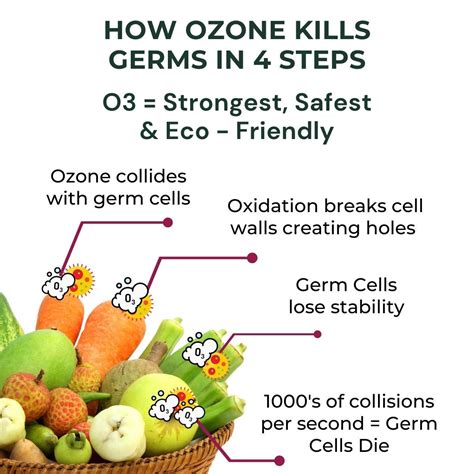 Buy Tomato Country Online | Immunity Boosting Veggies | Pluckk