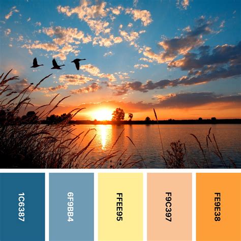 31 Sunset Color Palettes for Captivating Designs | Color Meanings