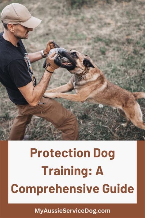 Protection Dog Training 的图像结果
