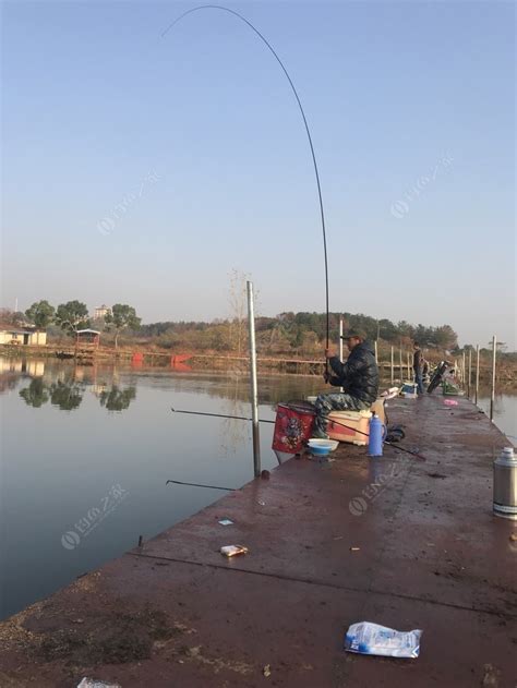 湛江这个地方海钓资源真好，一根手线狂抽30斤鱼，这个石斑很值钱-三农视频-搜狐视频