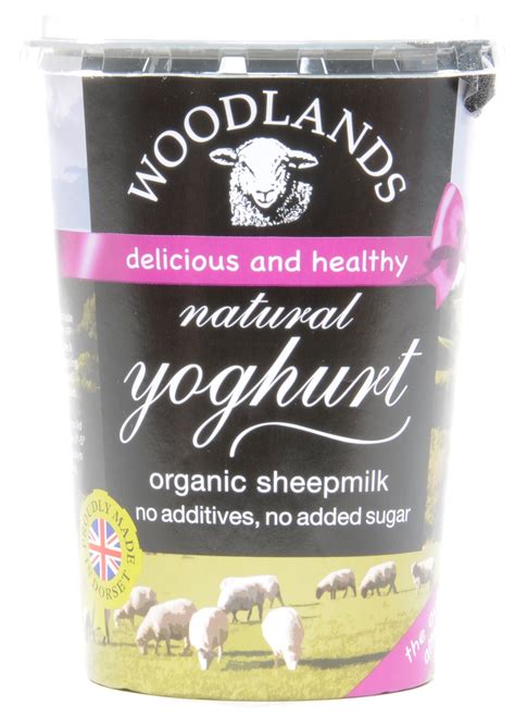 Sheep Yogurt