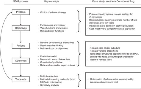 Image result for Structured Decision Making