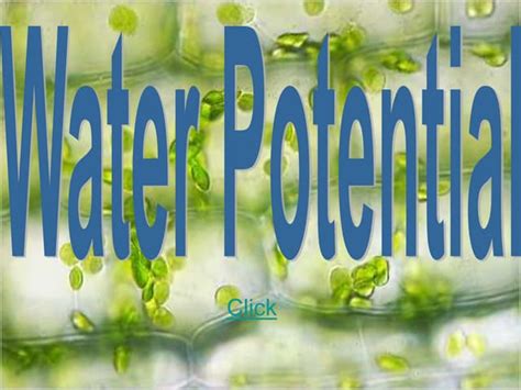Image result for Water Potential Explained
