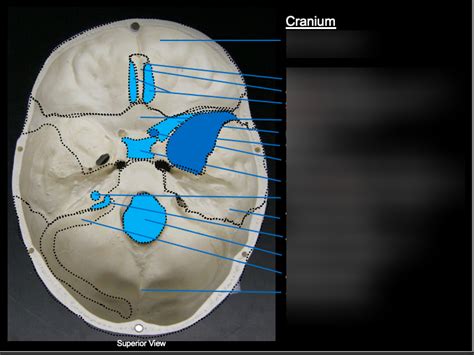 Image result for Cranium Command General Knowledge