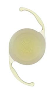 Presbyopia IOL 的图像结果