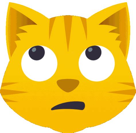 Image result for Mern Stack Developer GIF