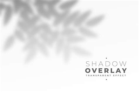 Tree shadow Images - Free Download on Freepik