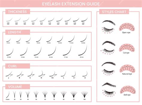 Premium Vector | Eyelash extensions guide Lashes extension types by ...