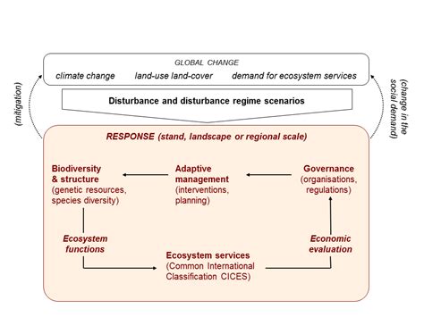 Schema Conceptuel 的图像结果