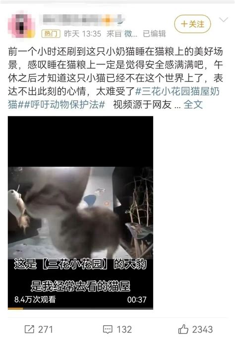 上海一男子“虐猫埋尸”被邻居发现，网友怒了！公司：即刻开除！_腾讯新闻